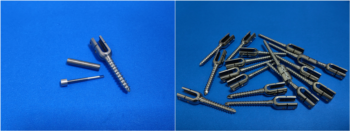 precision-swiss-machining-titanium-screws.jpg precision-swiss-machining-titanium-screws.jpg